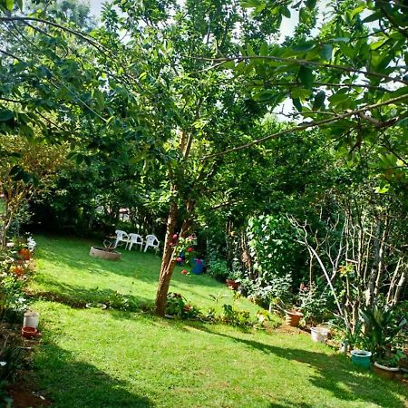Pear Tree Inn Villa Kotagiri Ngoại thất bức ảnh