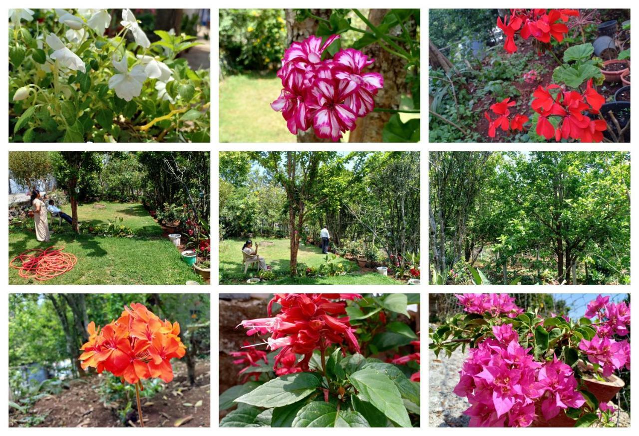 Pear Tree Inn Villa Kotagiri Ngoại thất bức ảnh