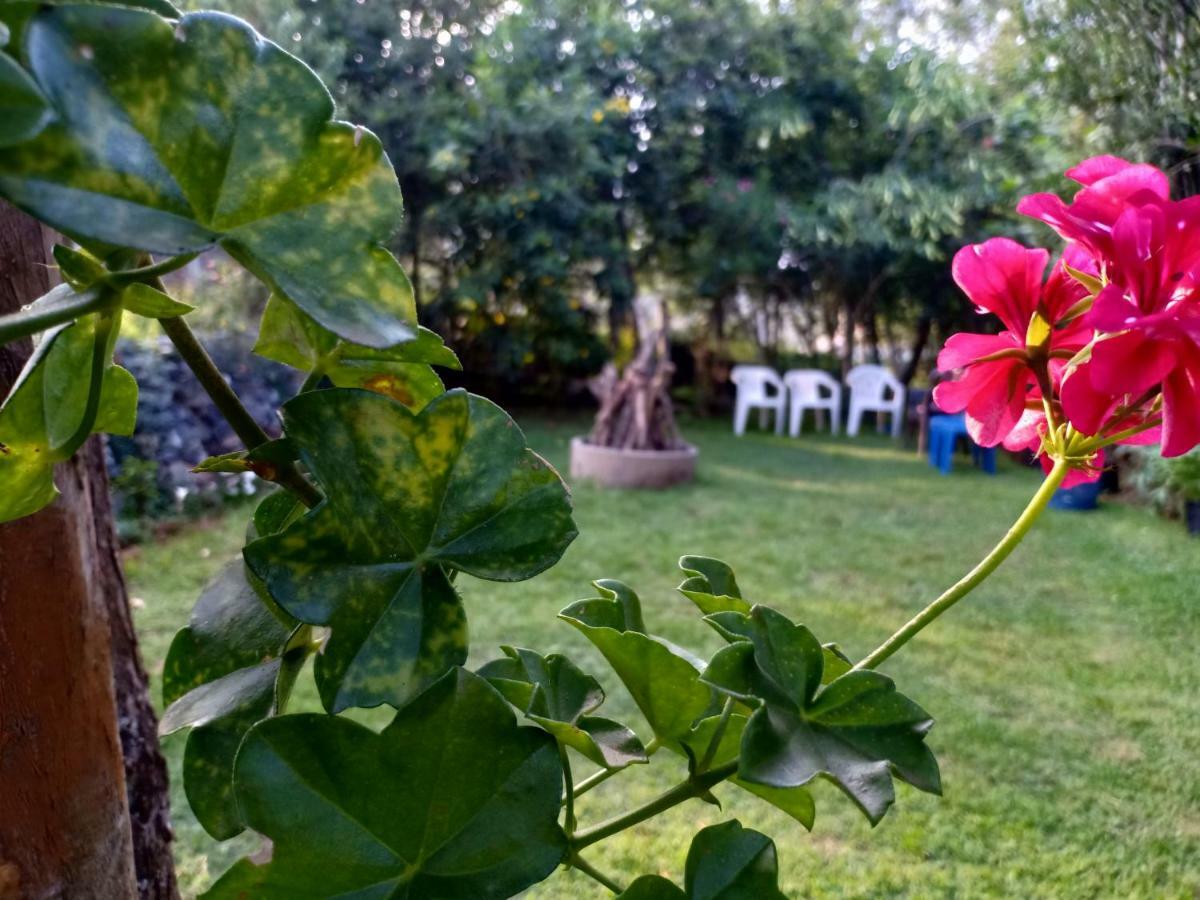 Pear Tree Inn Villa Kotagiri Ngoại thất bức ảnh