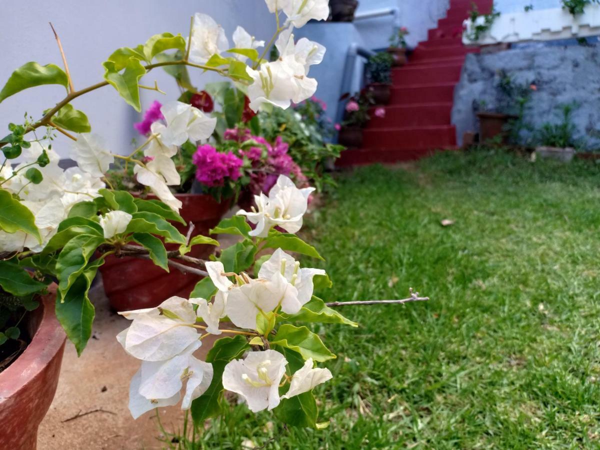 Pear Tree Inn Villa Kotagiri Ngoại thất bức ảnh