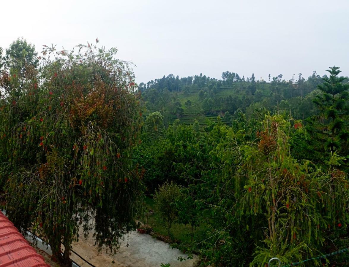Pear Tree Inn Villa Kotagiri Ngoại thất bức ảnh